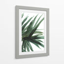 Frondoso - Dan Hobday | Cuadro decorativo de Canvas Lab