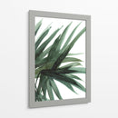 Frondoso - Dan Hobday | Cuadro decorativo de Canvas Lab