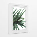 Frondoso - Dan Hobday | Cuadro decorativo de Canvas Lab