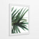 Frondoso - Dan Hobday | Cuadro decorativo de Canvas Lab