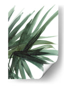 Frondoso - Dan Hobday | Cuadro decorativo de Canvas Lab