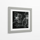 Mono - Dan Hobday | Cuadro decorativo de Canvas Lab