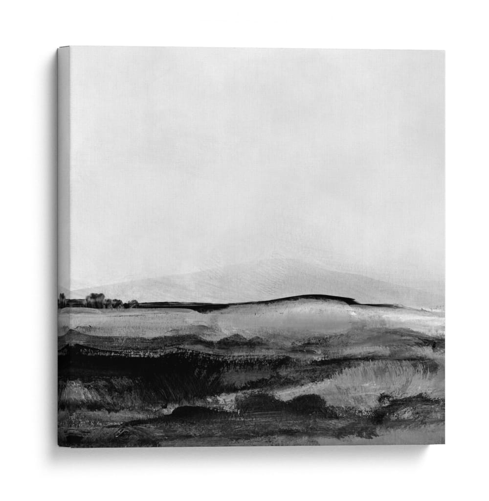 Paisaje mono 1 - Dan Hobday | Cuadro decorativo de Canvas Lab