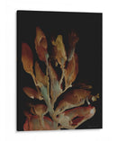 Planta nocturna - Dan Hobday | Cuadro decorativo de Canvas Lab