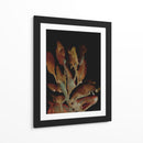 Planta nocturna - Dan Hobday | Cuadro decorativo de Canvas Lab