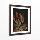Planta nocturna - Dan Hobday | Cuadro decorativo de Canvas Lab