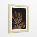 Planta nocturna - Dan Hobday | Cuadro decorativo de Canvas Lab