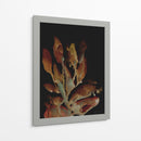 Planta nocturna - Dan Hobday | Cuadro decorativo de Canvas Lab