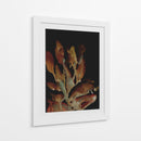 Planta nocturna - Dan Hobday | Cuadro decorativo de Canvas Lab