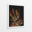 Planta nocturna - Dan Hobday | Cuadro decorativo de Canvas Lab