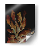 Planta nocturna - Dan Hobday | Cuadro decorativo de Canvas Lab