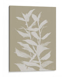 Botan - Dan Hobday | Cuadro decorativo de Canvas Lab