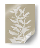 Botan - Dan Hobday | Cuadro decorativo de Canvas Lab