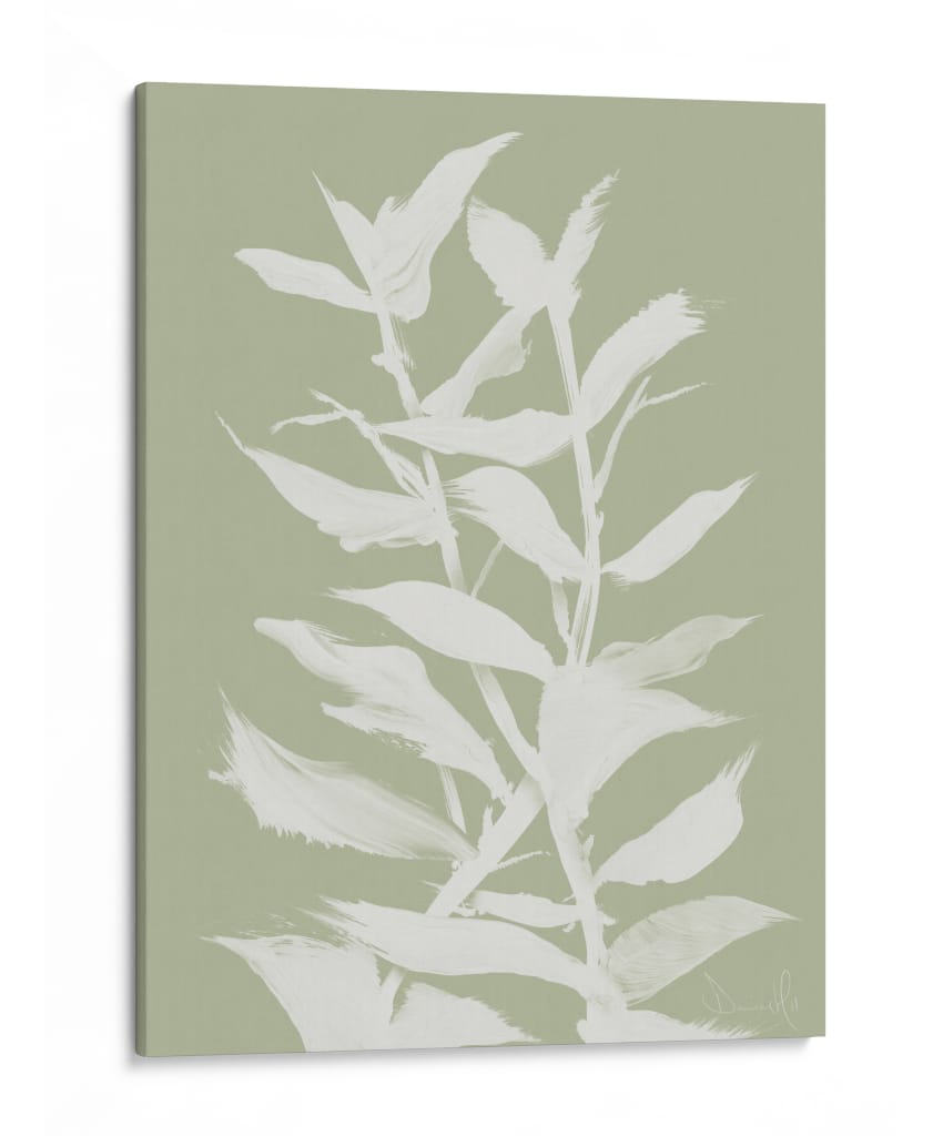 Natob Botan - Dan Hobday | Cuadro decorativo de Canvas Lab