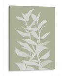 Natob Botan - Dan Hobday | Cuadro decorativo de Canvas Lab