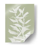 Natob Botan - Dan Hobday | Cuadro decorativo de Canvas Lab