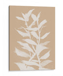 Botan Natob - Dan Hobday | Cuadro decorativo de Canvas Lab