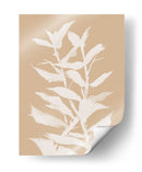Botan Natob - Dan Hobday | Cuadro decorativo de Canvas Lab