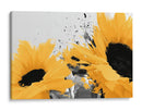 Primer plano de girasoles en fondo neutro - DIEGO D L | Cuadro decorativo de Canvas Lab