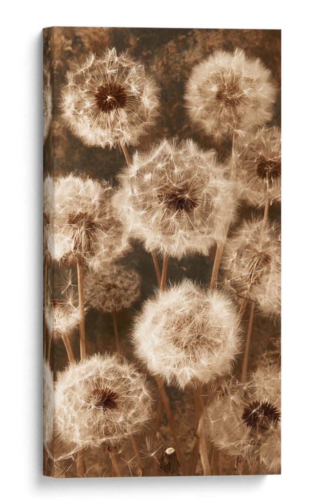 Filtro amarillo en dientes de león - DIEGO D L | Cuadro decorativo de Canvas Lab