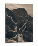 La Bufa - E Ordóñez | Cuadro decorativo de Canvas Lab