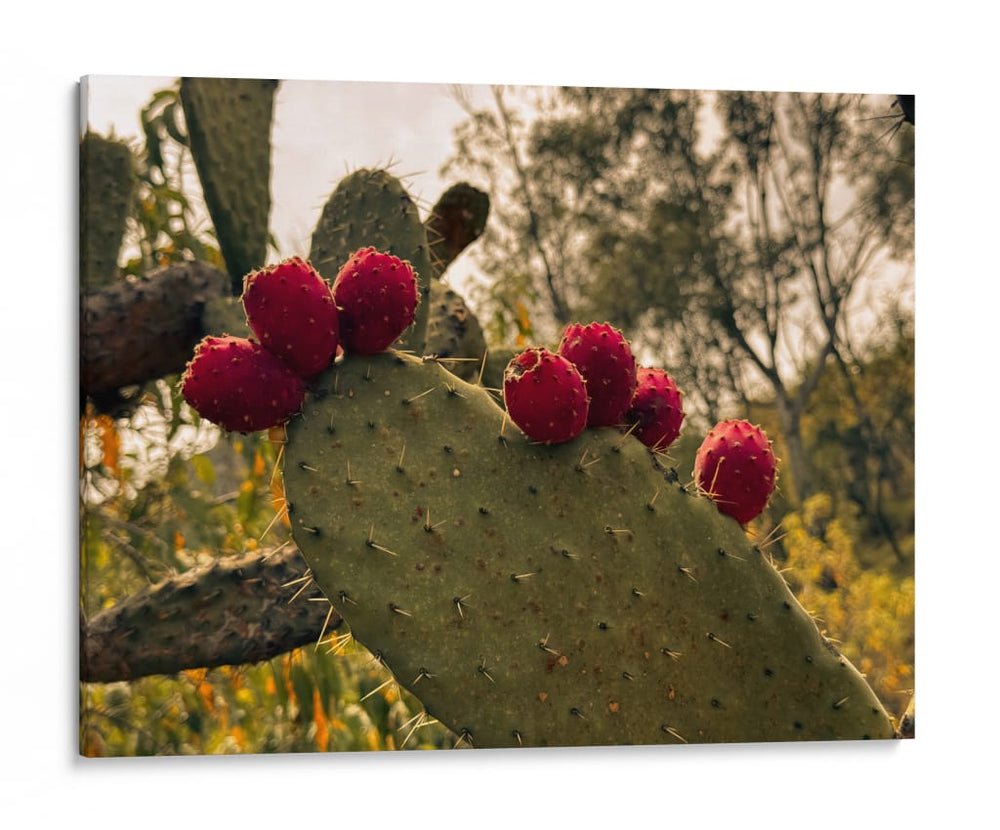 México y sus colores II - E Ordóñez | Cuadro decorativo de Canvas Lab