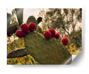 México y sus colores II - E Ordóñez | Cuadro decorativo de Canvas Lab