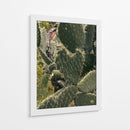 Corazón espinado - E Ordóñez | Cuadro decorativo de Canvas Lab