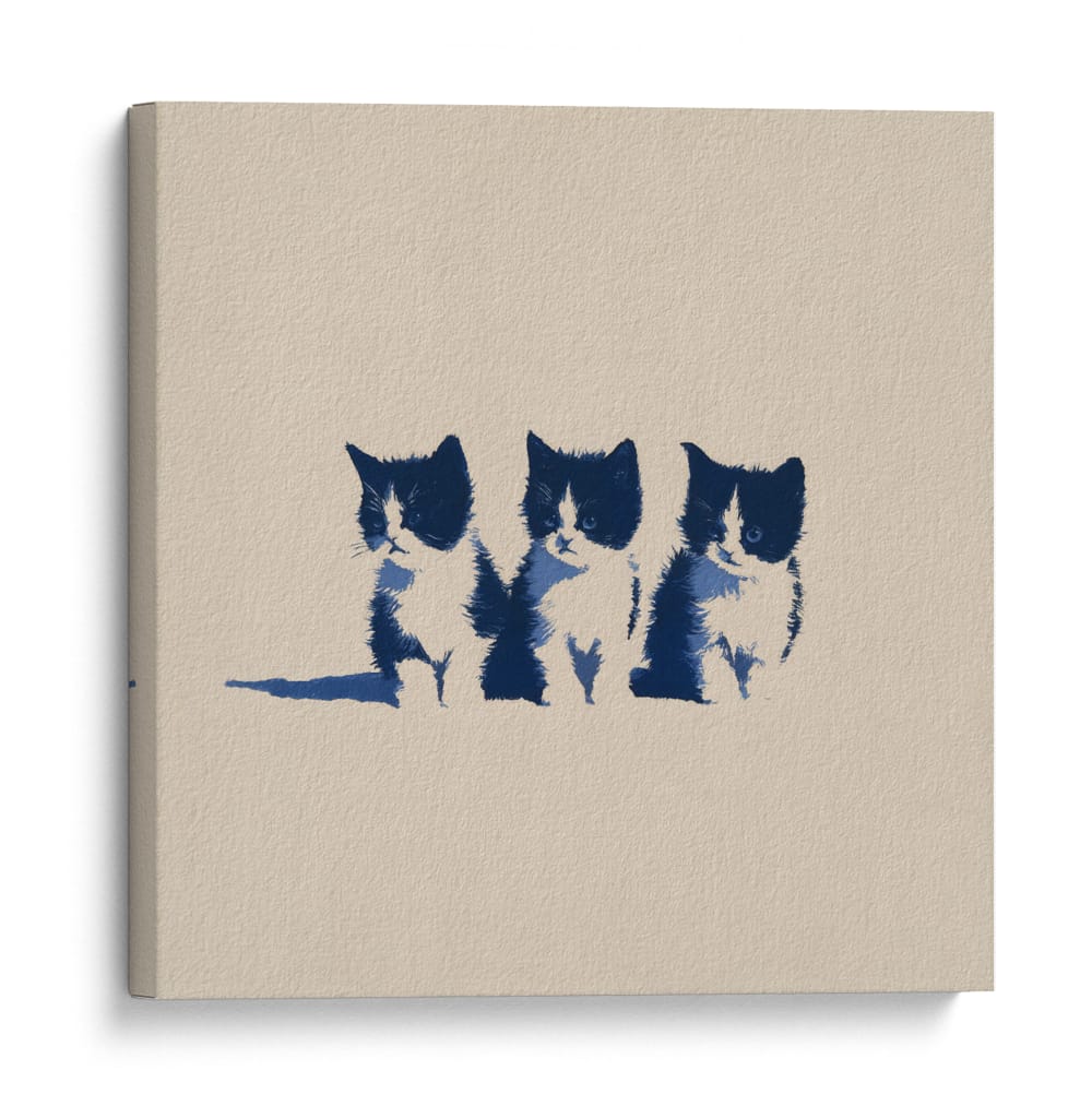 3 lindos gatitos - DIEGO D L | Cuadro decorativo de Canvas Lab