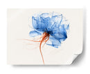 Bonita flor azulada - DIEGO D L | Cuadro decorativo de Canvas Lab
