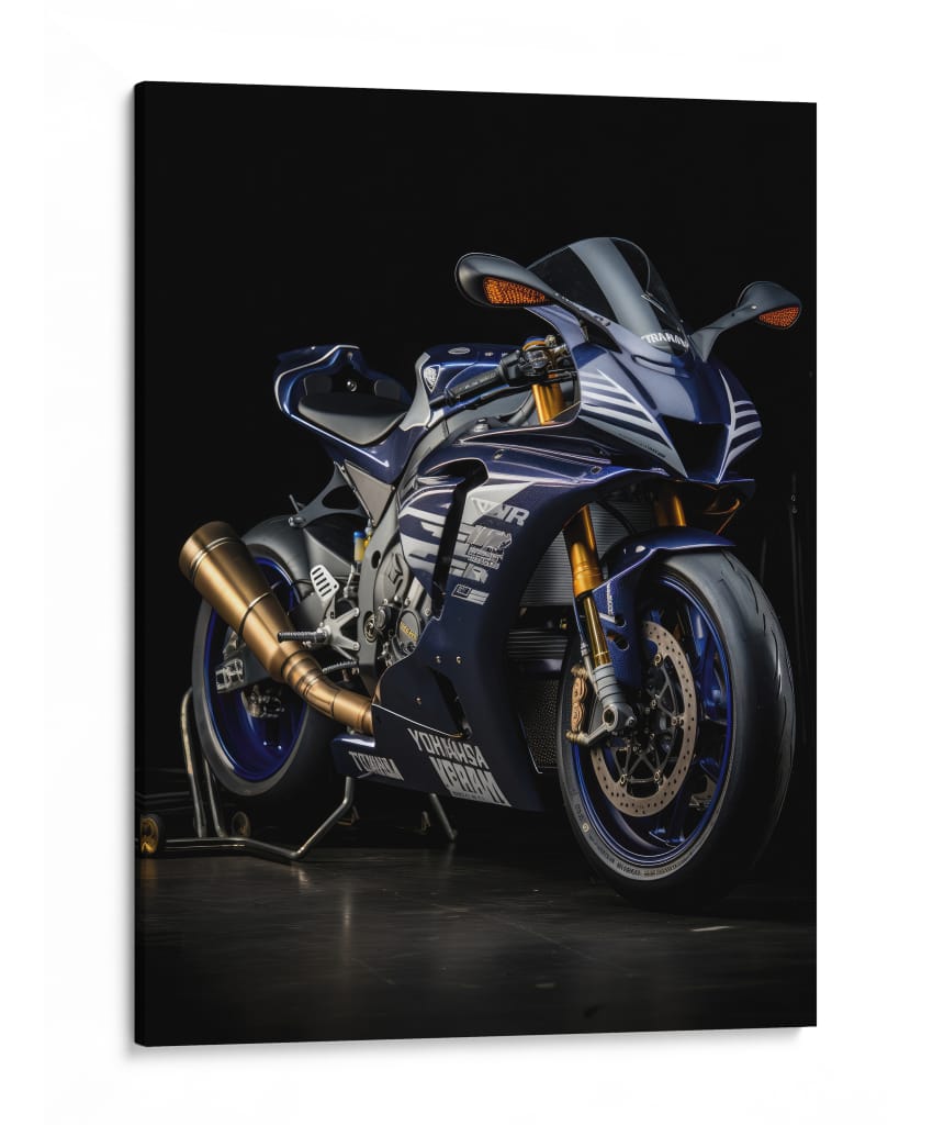 Rey de Pista - Sae Art | Cuadro decorativo de Canvas Lab