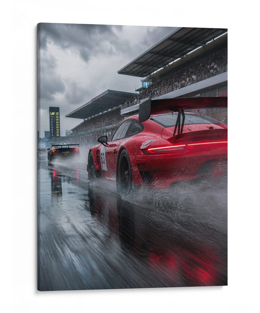 Furia Bajo la Lluvia - Sae Art | Cuadro decorativo de Canvas Lab