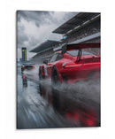 Furia Bajo la Lluvia - Sae Art | Cuadro decorativo de Canvas Lab