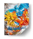 Articuno Zapdos Moltres Graffiti - MW | Cuadro decorativo de Canvas Lab