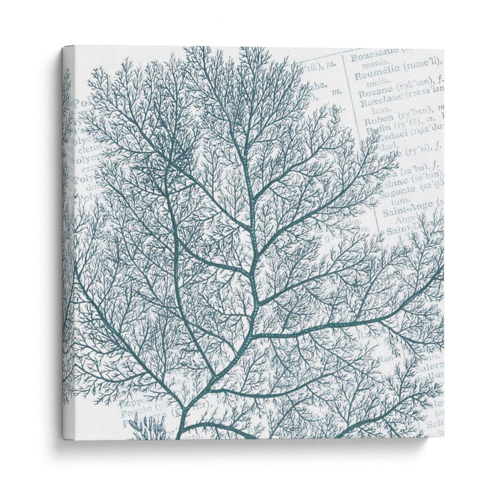 Aqua Marine Ii - Anna Hambly | Cuadro decorativo de Canvas Lab