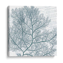 Aqua Marine Ii - Anna Hambly | Cuadro decorativo de Canvas Lab