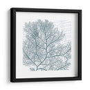 Aqua Marine Ii - Anna Hambly | Cuadro decorativo de Canvas Lab