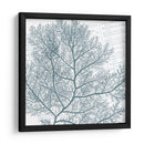 Aqua Marine Ii - Anna Hambly | Cuadro decorativo de Canvas Lab