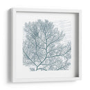 Aqua Marine Ii - Anna Hambly | Cuadro decorativo de Canvas Lab