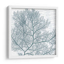 Aqua Marine Ii - Anna Hambly | Cuadro decorativo de Canvas Lab