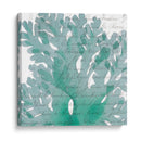 Aqua Marine Iii - Anna Hambly | Cuadro decorativo de Canvas Lab