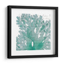 Aqua Marine Iii - Anna Hambly | Cuadro decorativo de Canvas Lab