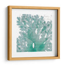 Aqua Marine Iii - Anna Hambly | Cuadro decorativo de Canvas Lab