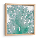 Aqua Marine Iii - Anna Hambly | Cuadro decorativo de Canvas Lab