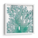 Aqua Marine Iii - Anna Hambly | Cuadro decorativo de Canvas Lab