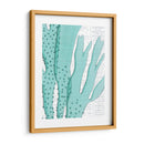 Aqua Marine V - Anna Hambly | Cuadro decorativo de Canvas Lab