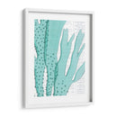 Aqua Marine V - Anna Hambly | Cuadro decorativo de Canvas Lab