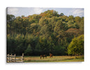 Caballos en el bosque - HCTR | Cuadro decorativo de Canvas Lab