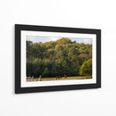 Caballos en el bosque - HCTR | Cuadro decorativo de Canvas Lab