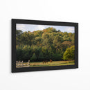 Caballos en el bosque - HCTR | Cuadro decorativo de Canvas Lab